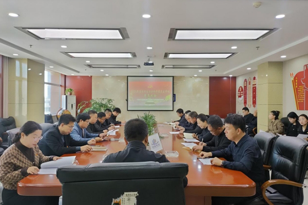 中共中臨建設(shè)集團(tuán)股份有限公司支部委員會(huì) 召開2024年度組織生活會(huì)暨民主評(píng)議 黨員大會(huì)